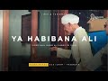 Ya Habibana Ali x Ya Robbi ya Alimal Hal | video Haul Solo 2024 | Lirik terjemah | tareem lovers