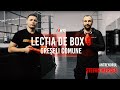 Knockout Store Prezintă: Lecția de Box 6 – Greșeli Comune 🥊