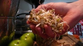 How To Juice Mung Beans Recipe