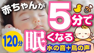 【赤ちゃんが眠くなる120分】赤ちゃんが泣きやむ│【オルゴール】＋水の音楽・虫のさえずり│寝かしつけに良い水の音