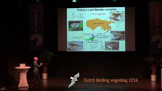 DBVogeldag 2016 - Identification of vagrant Leaf warblers  Per Alström