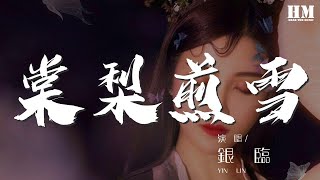 銀臨 - 棠梨煎雪『舊歲採得枝頭細雪』【動態歌詞Lyrics】