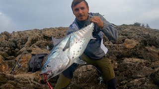 STRIKE da infarto! Un TONNO alletterato  - SHORE JIGGING in ITALIA - False ALBACORE after sunrise!