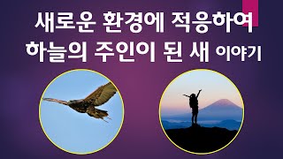 새로운 환경에 적응하여 하늘의 주인이 된 새 이야기