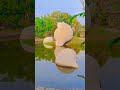 veli trivandrum shorts nature viralvideo shortsvideo