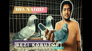 How to recognize original Bezi pigeons |  (বেজি কবুতর কিভাবে চিনবেন) Bezi pigeons of MD.Nahid