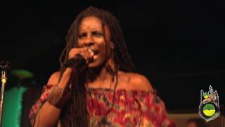 JAH9 and the Dub Treatment: MARIJUANA (Live)