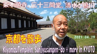 京都散歩（東本願寺、三十三間堂、清水と鴨川）Kiyomizu temple, Sanjusangendo + more in Kyoto.