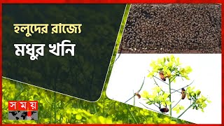 মধু চাষে সয়লাভ | Beekeeping For Profit | Honey Production In Tangail | Business News | Somoy TV