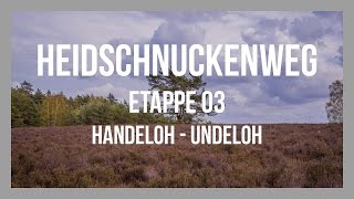 Heidschnuckenweg | Etappe 03 - Handeloh - Undeloh | Lüneburger Heide | GPS-Track