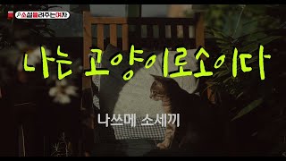 오디오북[[소설들려주는여자]]나는 고양이로소이다_나쓰메 소세끼//북튜버/소설낭독/ASMR