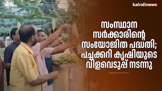 സംസ്ഥാന സർക്കാരിന്റെ സംയോജിത പദ്ധതി; പച്ചക്കറി കൃഷിയുടെ വിളവെടുപ്പ് നടന്നു  | Keralagovernment