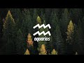 Markvard - Dawn
