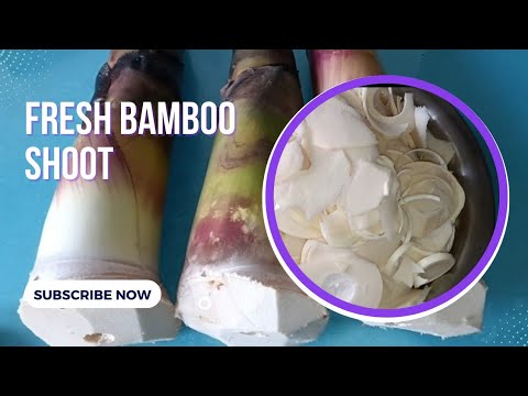 Can you freeze water chestnuts and bamboo shoots?