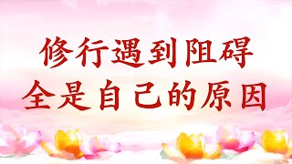 卢台长【节目录音+字幕】修行遇到阻碍全是自己的原因