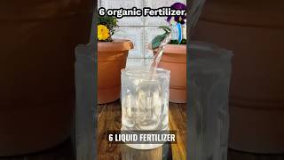 Top Six Organic Liquid Fertilizers for plants | पौधों की तरल खाद | #plants #viral #plants #garden