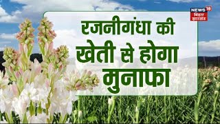 Farming News: अन्नदाता | रजनीगंध की खेती से होगा मुनाफा | Annadata | TOP News | Hindi News