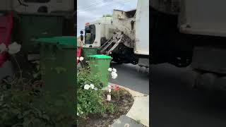 719 picking up garbage  bins and struggling to put bin on driveway