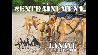 MALIFAMILY  ENTRAINEMENT --  CANICROSS -- LANAYE --  28.04.18