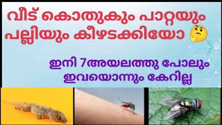 കൊതുകും പല്ലിയും പാറ്റയും ഇനി 7അയലത്തേക്ക് പോലും വരില്ല. അത് ഉറപ്പ്