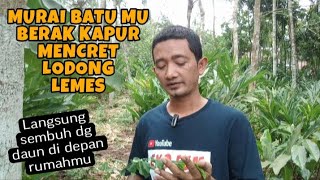 OBAT ALAMI paling ampuh untuk murai batu mencret berak kapur dan bulu ngembang