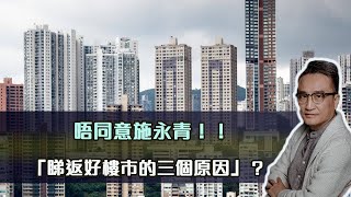 唔同意施永青‼️⋯「睇返好樓市的三個原因」？| 11Dec2022