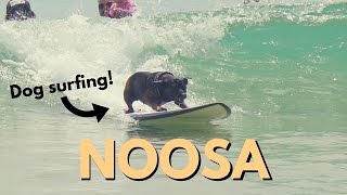 Our New Home, Noosa!