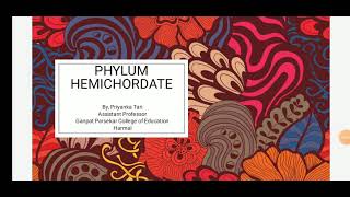 phylum Hemichordata general characters