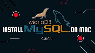 2- How to install MariaDB on mac