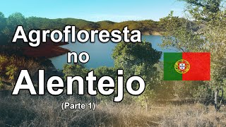 Agroforestry in Portugal (Alentejo) part 01