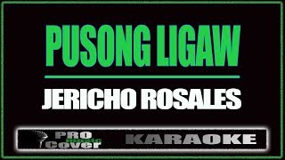 Pusong ligaw - Jericho Rosales (KARAOKE)