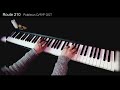 pokémon d p p ost route 210 【piano cover】