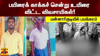 பயிரைக் காக்கச் சென்று உயிரை விட்ட விவசாயிகள்.. மன்னார்குடியில் பயங்கரம்