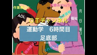 運動学（足底部）　6時間目「作業療法士（OT）の為の国家試験対策」