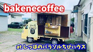 @bakenecoffeeが函館にやって来た【保護猫 譲渡 しっぽのパラソル】