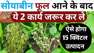 सोयाबीन फूल आने के बाद फलिया बनते समय ये 2 कार्य जरूर कर ले || Soyabin Ki Kheti || Soyabean