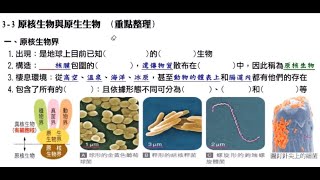 113學年國一下生物:3-3原核生物與原生生物(重點整理)