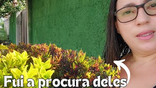 ACHEI QUE SERIA HOJE MAIS NÃO DEU | EM BUSCA DE CROTONS