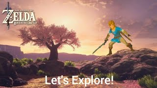 Link explores Satori Mountain