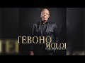Teboho Moloi - Hlengiwe [Visualizer]