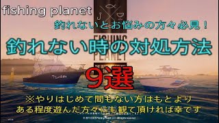 fishing planet 『釣れない時の対処方法 9選』 やりはじめて間もない方々のみならず、ある程度遊んだ方々も是非見ていただけたら幸いです。