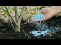 earthworms in kannada ಎರೆ ಹುಳು ರೈತನ ಮಿತ್ರ rangu kasturi