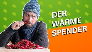 Was kann der ZIEGEL, was die CHILI nicht kann? #UnglaublichaberZiegel | LEIPFINGER-BADER