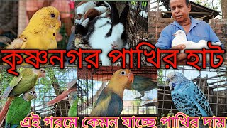 গরমে এত কম পাখির দাম|| 🙀 💥 কৃষ্ণনগর পাখির হাট . Krishnagar pakhir haat.