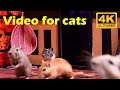 Cat TV: Non-stop Hide & Seek with Tiny Mice in 4K UHD - 3 Hours of Excitement | Catflix