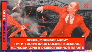 Конец мобилизации? | Путин испугался боевых комаров | Наркодилеры в Общественной палате