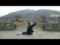 Wudang Five Animals Qi Gong (武当五行气功)