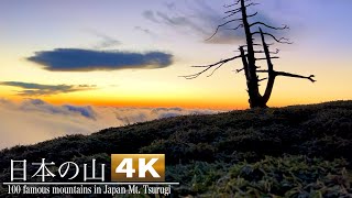 100 famous mountains in Japan Mt. Tsurugi 日本百名山 剣山 一緒に登山