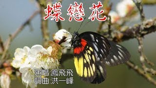 鳳飛飛 - 蝶戀花 卡拉OK