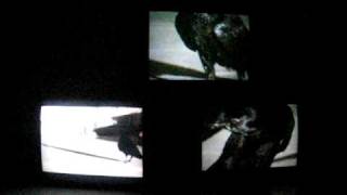 Douglas Gordon - Videoinstalation